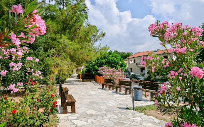 Alley with blooming flowers and benches in Omodos Village, Cyprus.