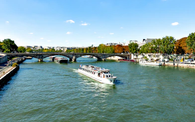 Seine River cruise boat passing under a bridge in Paris.