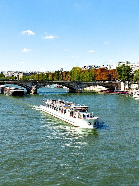 Seine River cruise boat passing under a bridge in Paris.