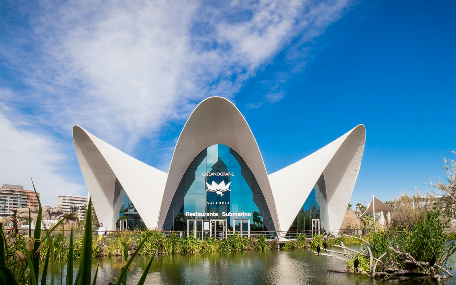 Submarine restaurant of the Oceanogràfic Valencia