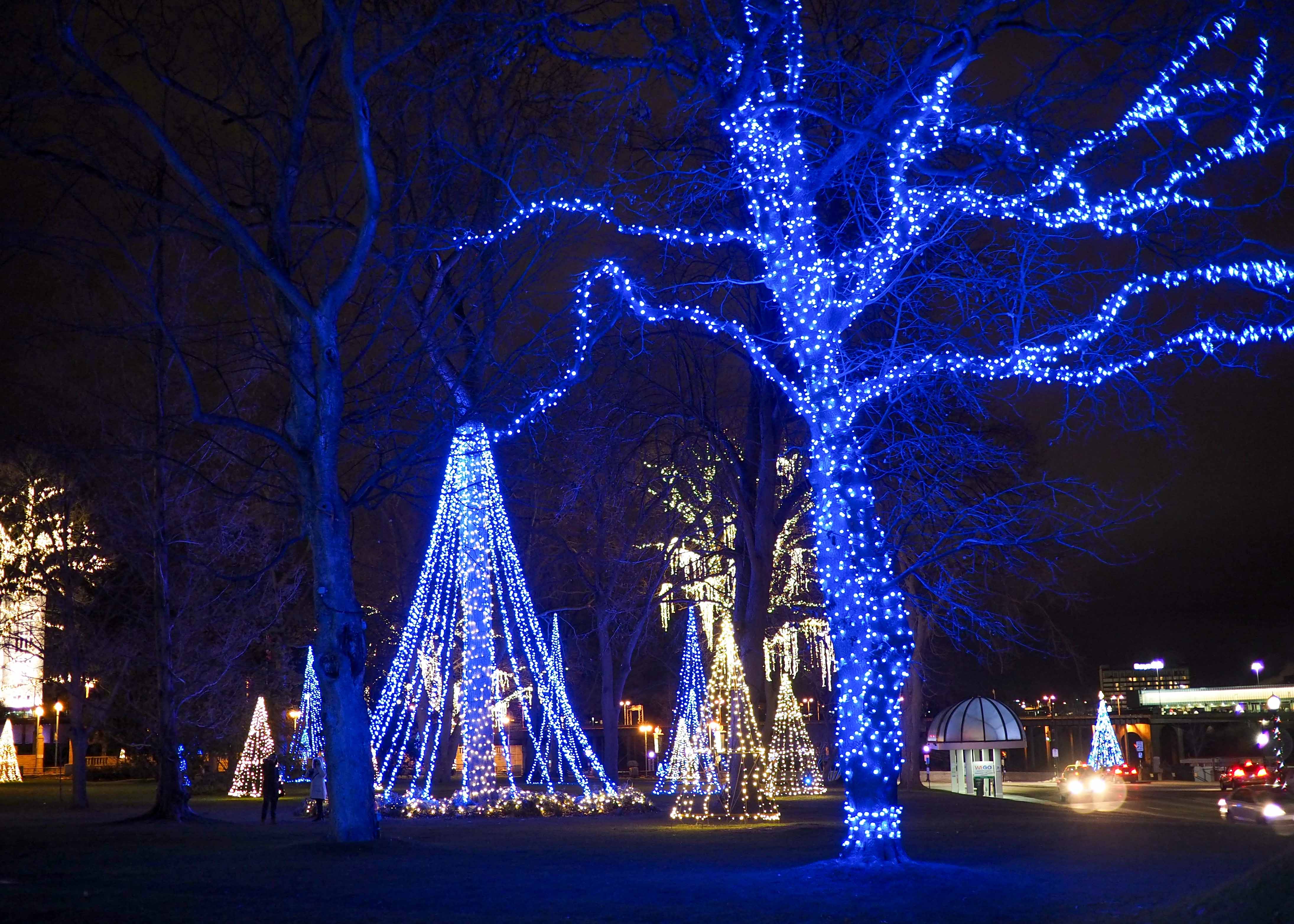 Winter Festival of Lights