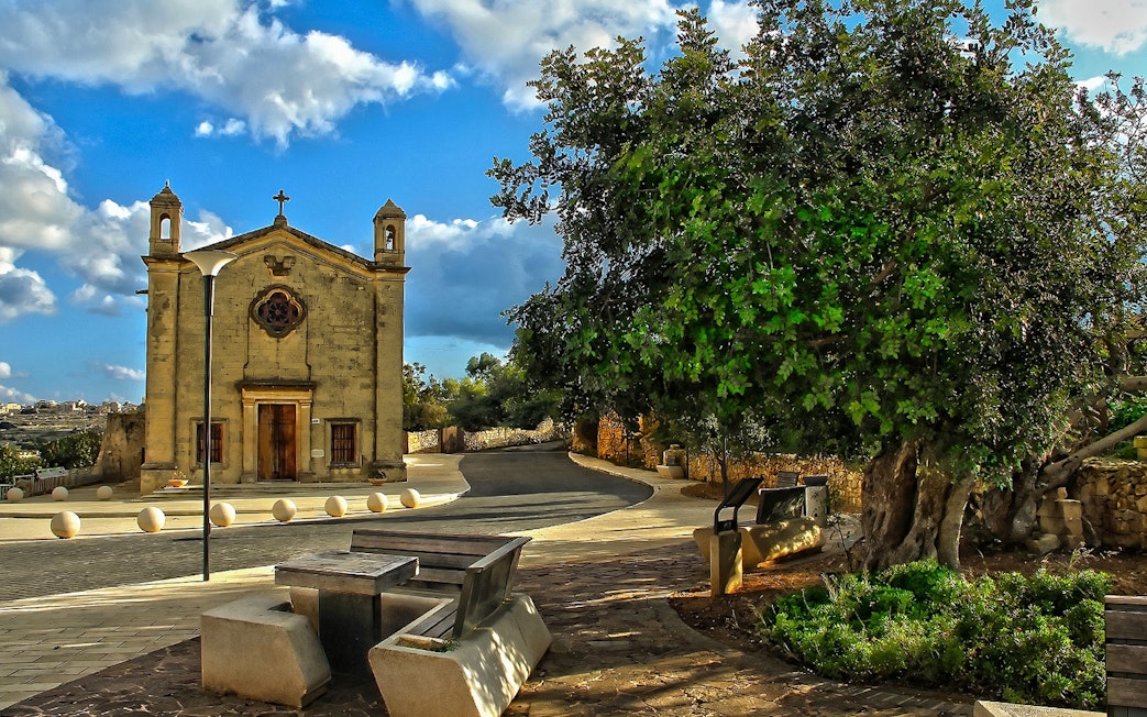 Historic church and tree in Qrendi village, Malta, part of the Marsaxlokk and Blue Grotto tour.
