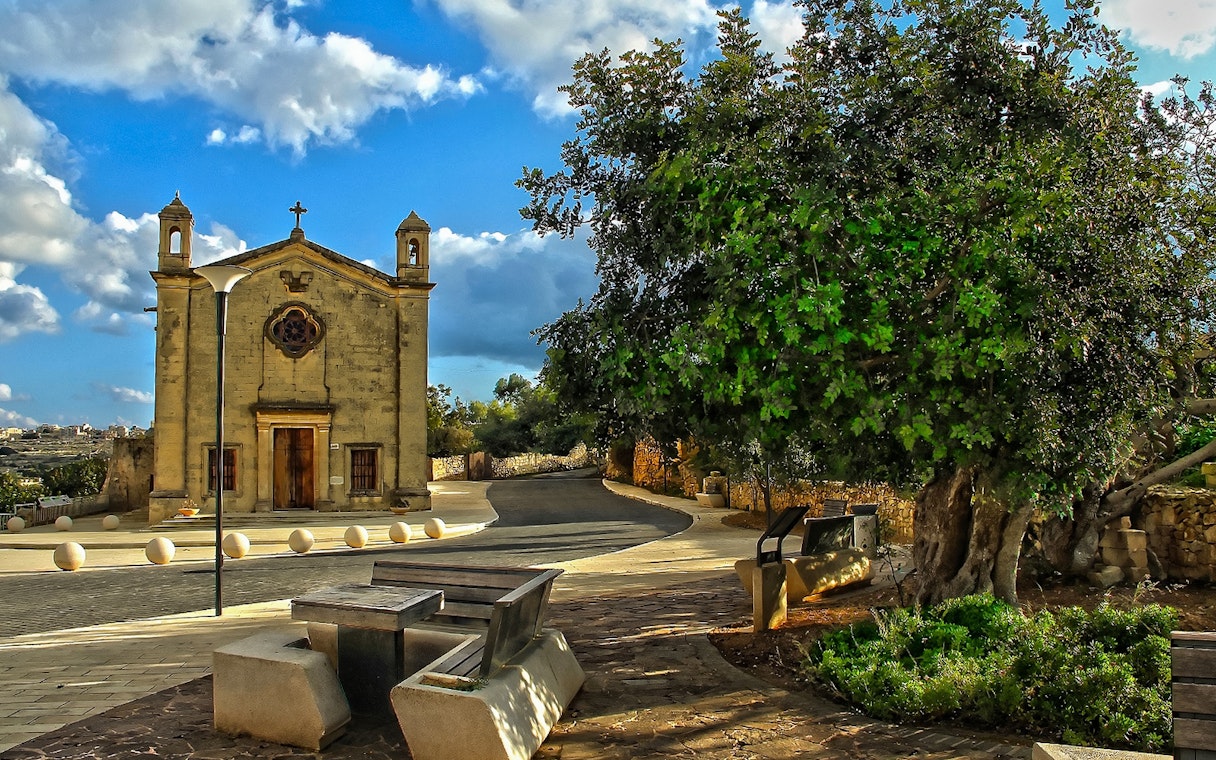 Historic church and tree in Qrendi village, Malta, part of the Marsaxlokk and Blue Grotto tour.
