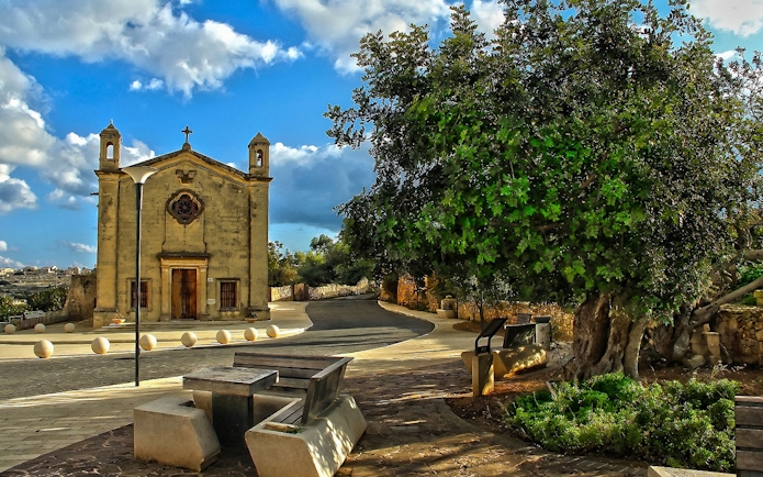 Historic church and tree in Qrendi village, Malta, part of the Marsaxlokk and Blue Grotto tour.