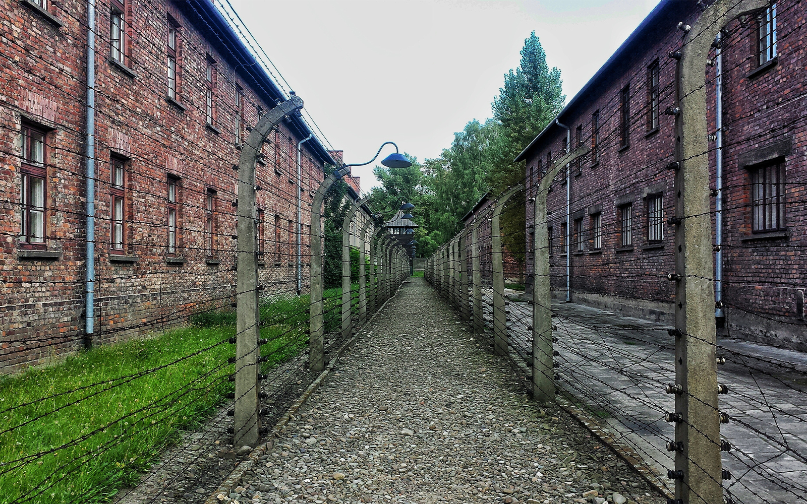 Stutthof Concentration Camp entrance gate with barbed wire fence in Sztutowo, Poland.