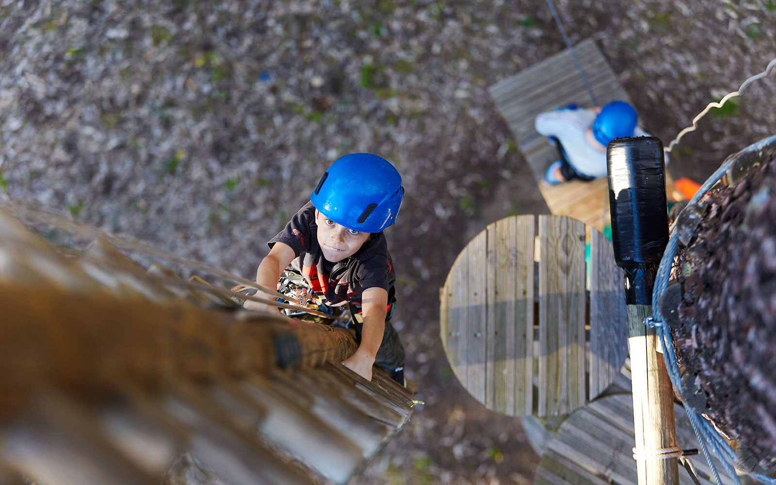 Child climbing a wooden ladder in Ludlow Tuart Forest, Western Australia.