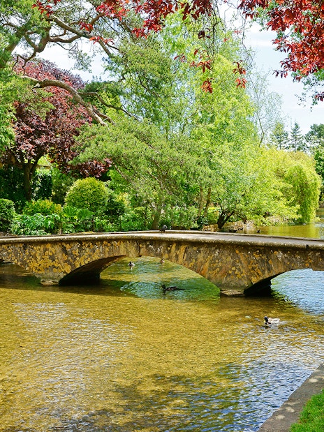 Stone bridge over a tranquil river in Bourton-on-the-Water, England, surrounded by lush greenery.
