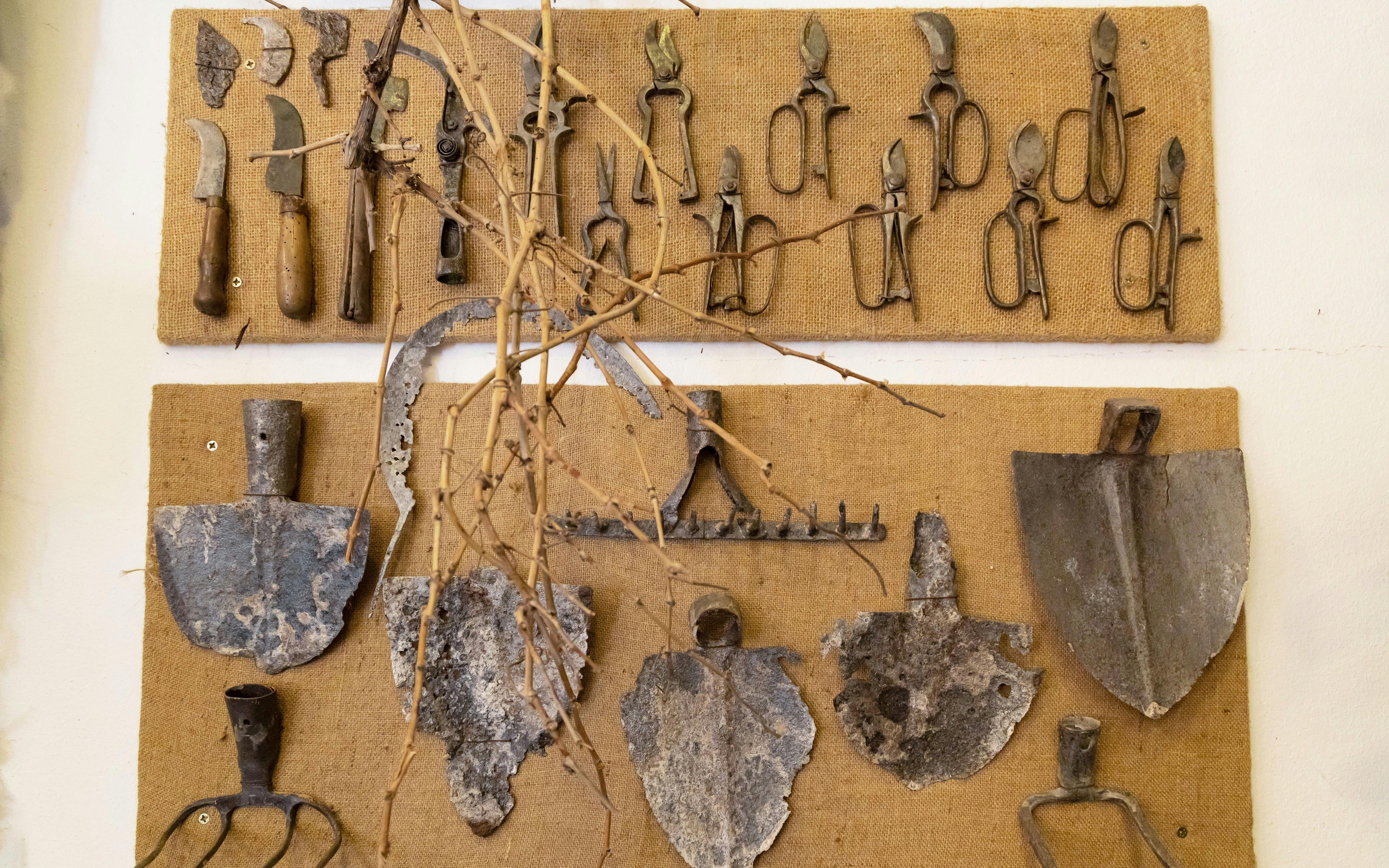 Old agricultural tools displayed at Vajdahunyad Castle Museum.