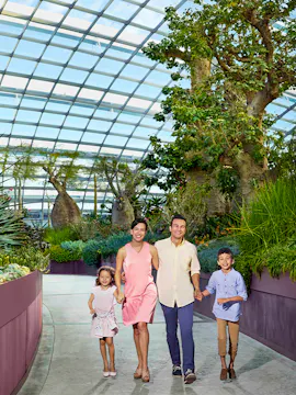 Buy Go City Singapore Passes