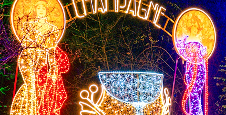 Lofoten Fjord Cruise