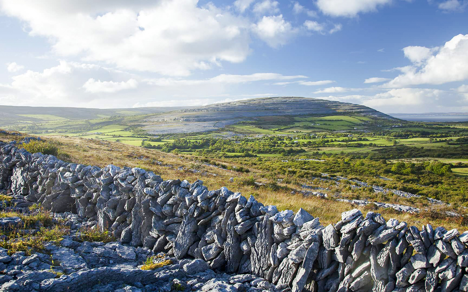 Stone wall and limestone landscape in the Burren region, County Clare, Ireland.