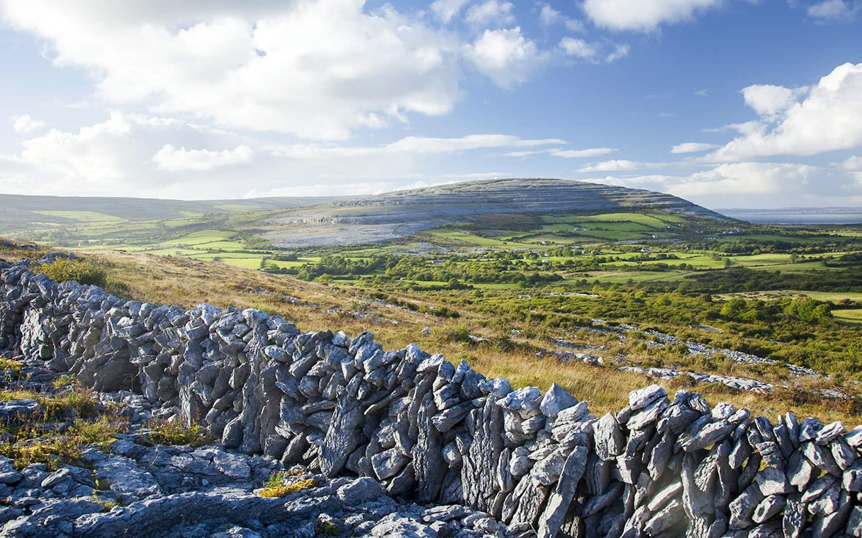 Stone wall and limestone landscape in the Burren region, County Clare, Ireland.