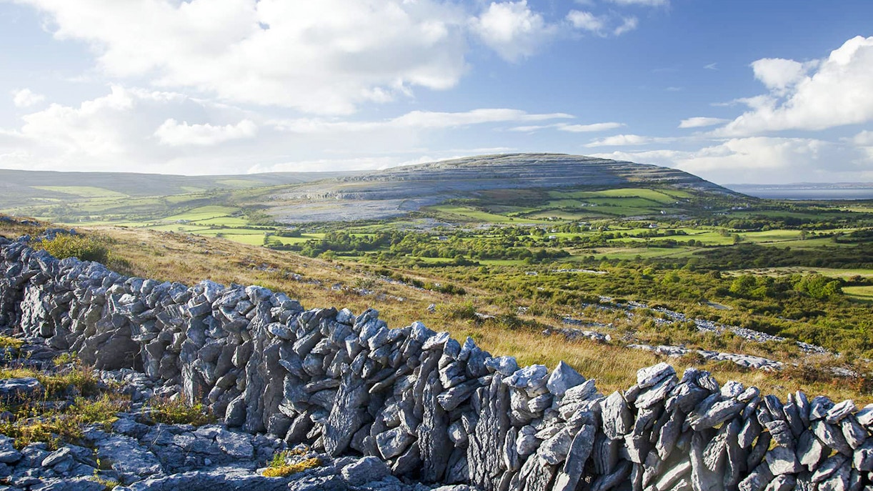 Stone wall and limestone landscape in the Burren region, County Clare, Ireland.