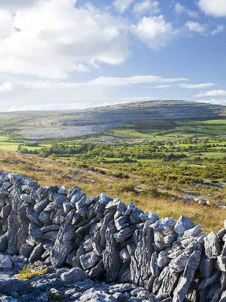 Stone wall and limestone landscape in the Burren region, County Clare, Ireland.