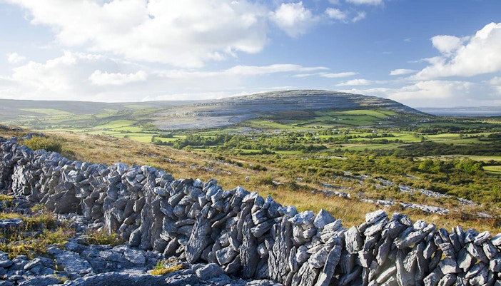 Stone wall and limestone landscape in the Burren region, County Clare, Ireland.