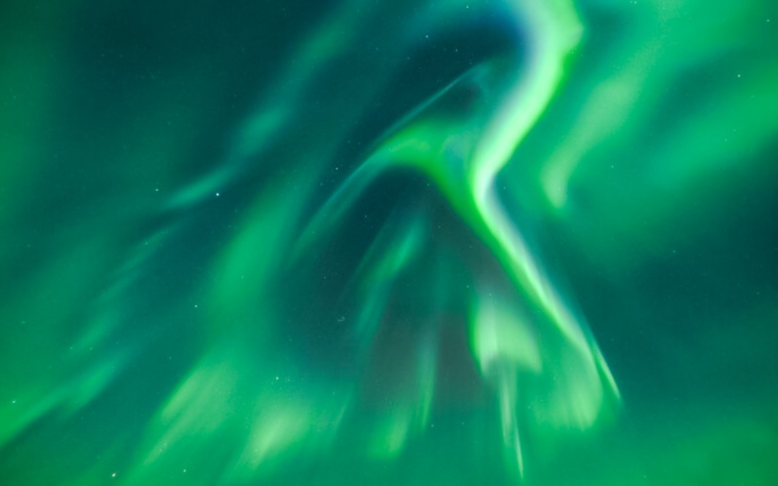 Northern lights display during Northern Lights Discovery Tour.