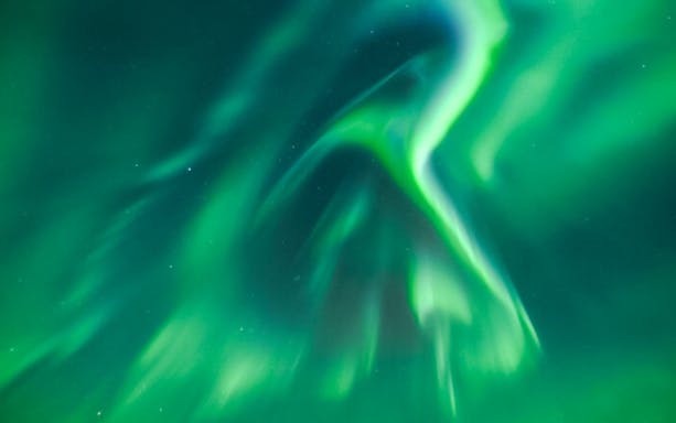 Northern lights display during Northern Lights Discovery Tour.