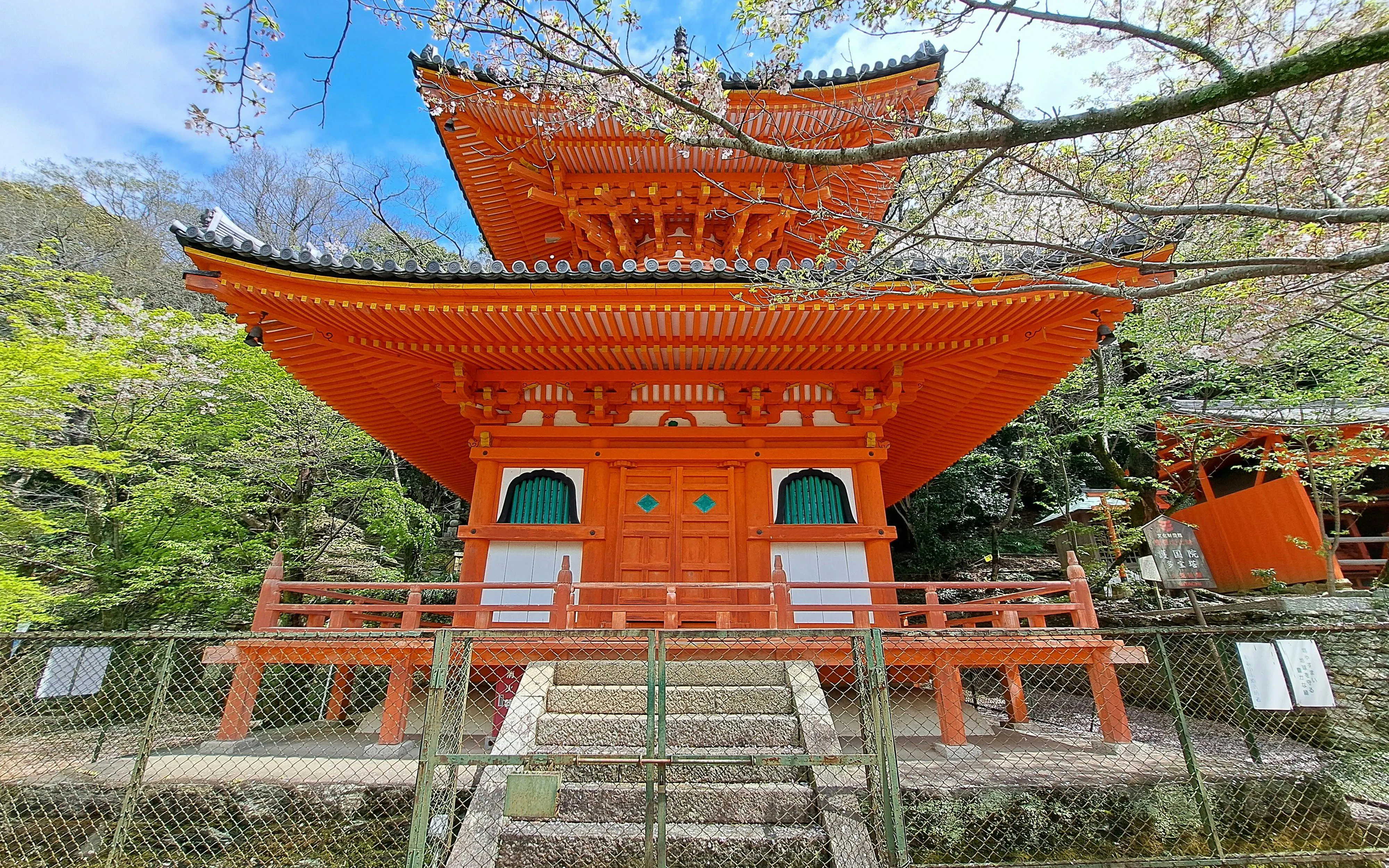 Kimiidera Temple pagoda surrounded by cherry blossoms in Heaven City, Japan.