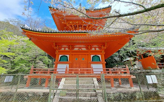 Kimiidera Temple pagoda surrounded by cherry blossoms in Heaven City, Japan.