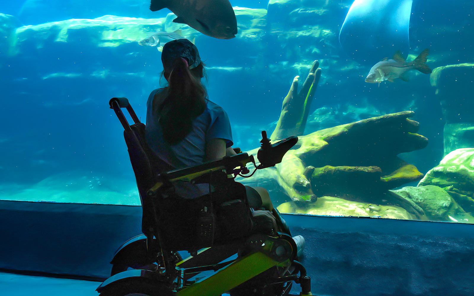 sea life london aquarium tickets