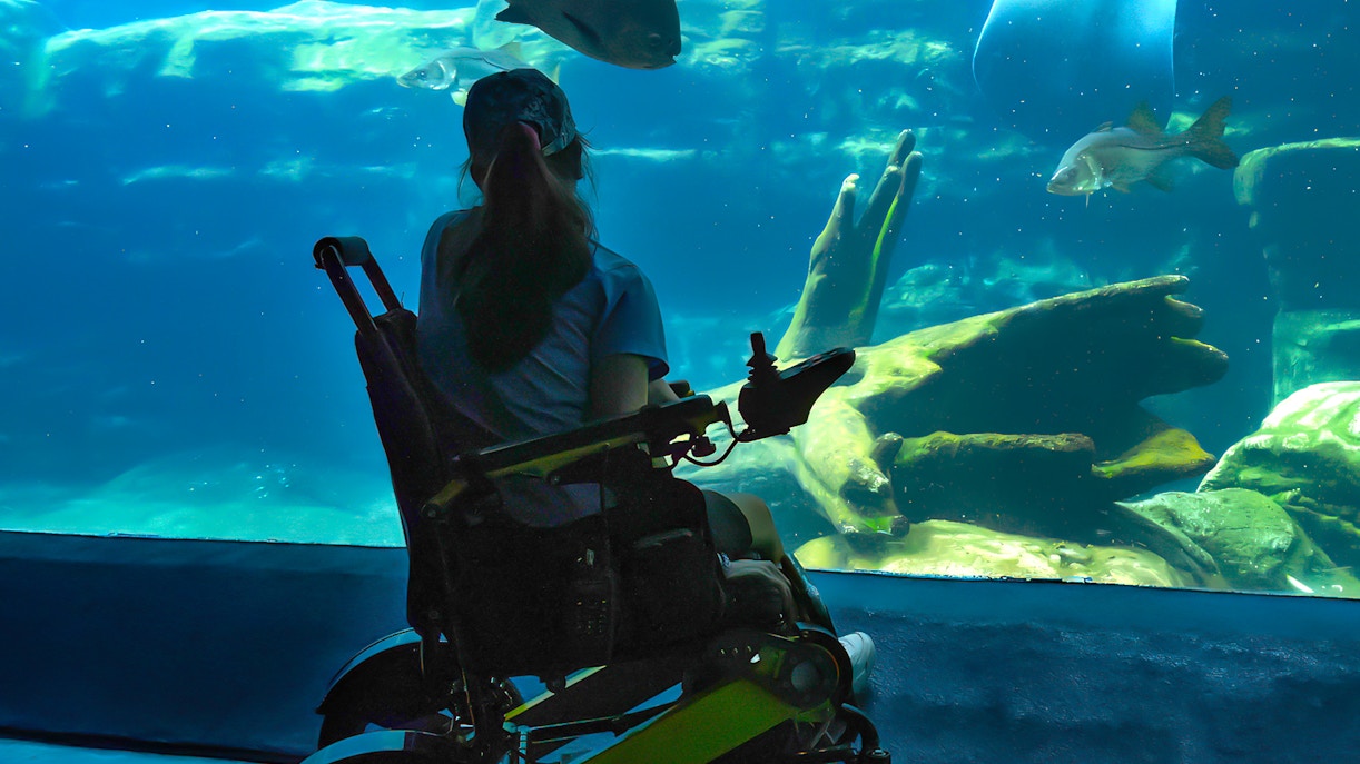 Woman in wheelchair observing marine life at an aquarium.