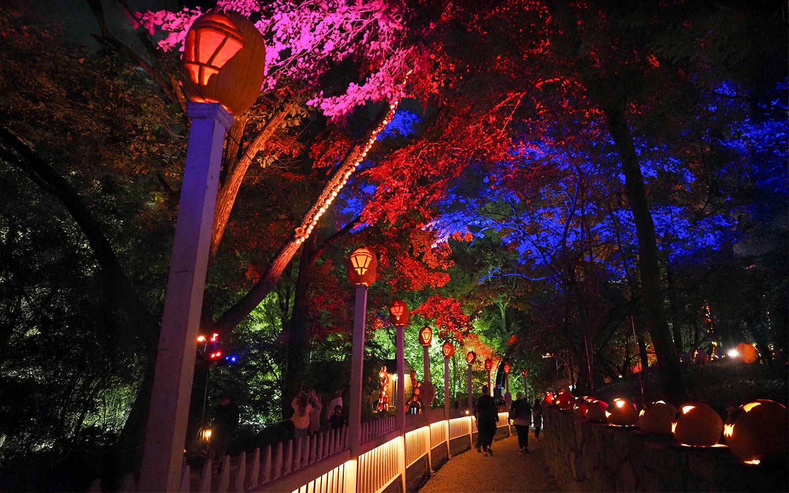 Halloween-themed path with glowing pumpkins and colorful lights in a park at night.