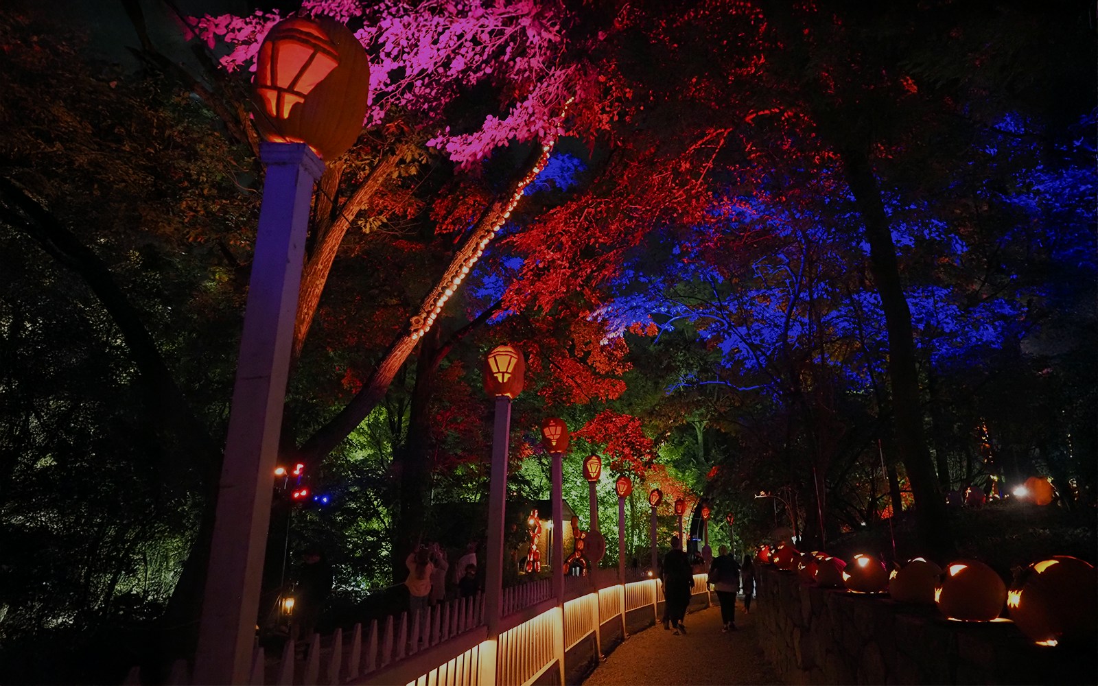 Halloween-themed path with glowing pumpkins and colorful lights in a park at night.