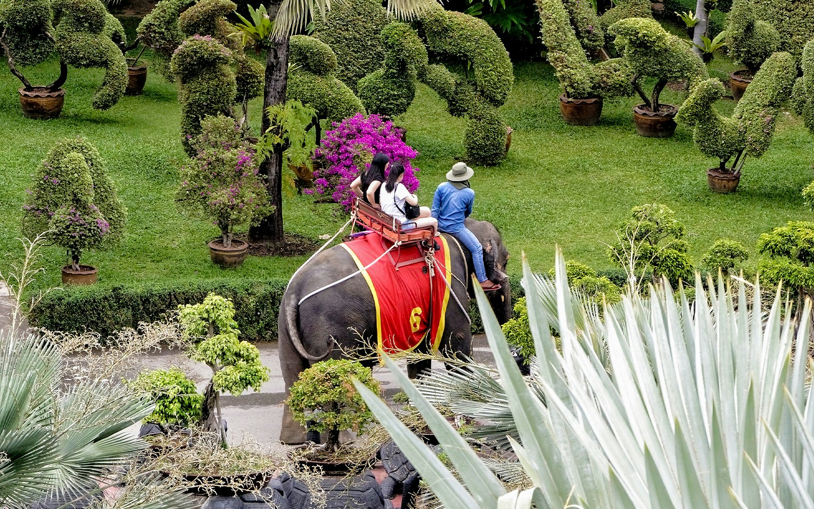 Elephant ride at Nong Nooch Tropical Garden, Pattaya, Thailand.