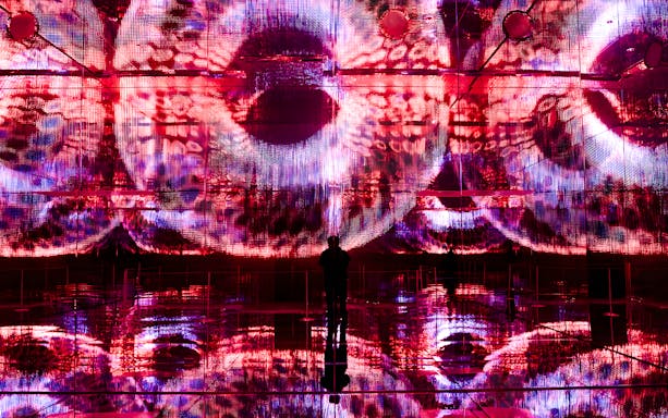 Interactive digital art display at Mercer Labs, Museum of Art & Technology.