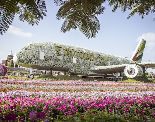 Dubai Miracle Garden - City Card Dubai