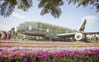 Dubai Miracle Garden