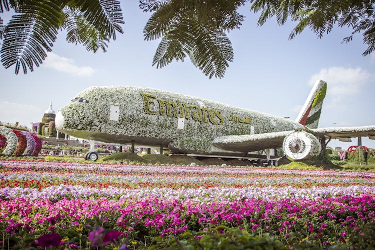 Flight-shaped floral arrangement at Dubai Miracle Garden.