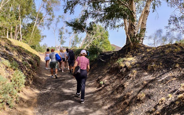 Group hiking on Mount Etna trail surrounded by trees, part of guided tour from Catania.