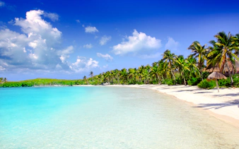 Tropical beach with palm trees and clear water in Cancun.