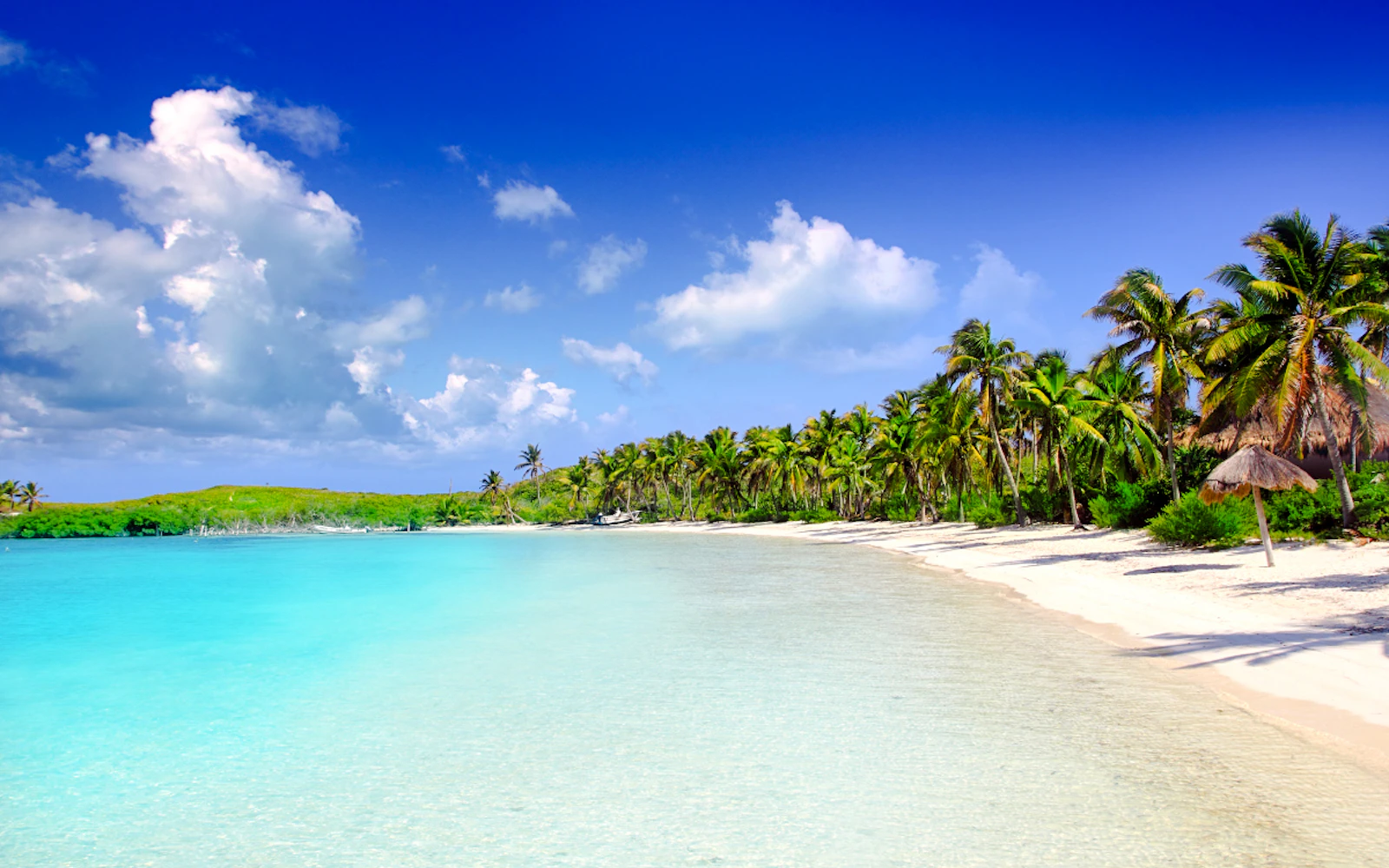 From Cancun: Isla Contoy & Isla Mujeres Day Trip with Reef Snorkeling and Beach Lunch (Product 56571)
