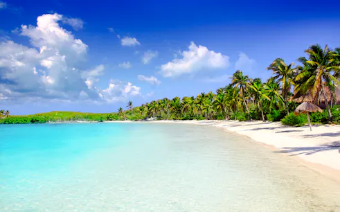 Tropical beach with palm trees and clear water in Cancun.