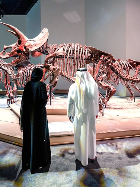 Triceratops skeletons exhibit at National History Museum, Abu Dhabi.