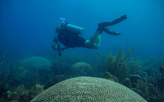 Snorkeler exploring coral reef during Rosario Islands catamaran cruise.
