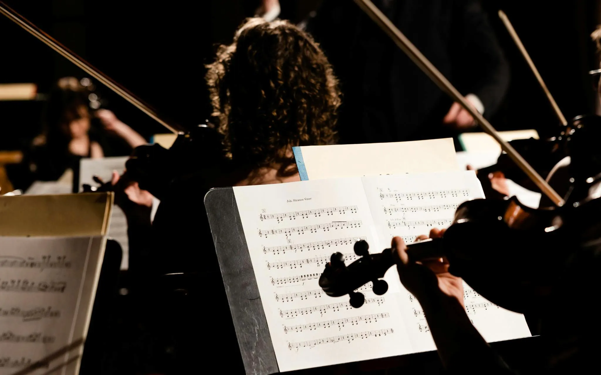 Orchestra performing classical music in Vienna concert hall.