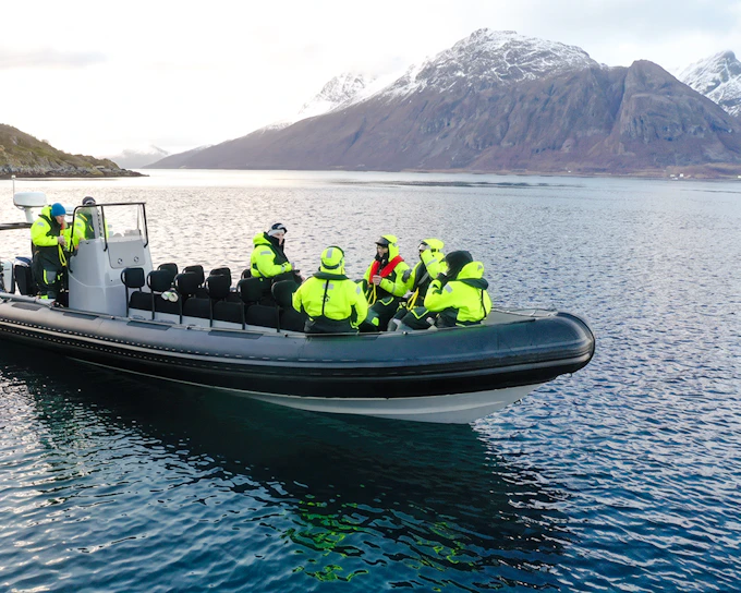 From Tromsø: RIB Speedboat Whale Watching Cruise (Product 52086)