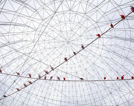 Wetlands aviary habitat sphere at Oceanogràfic Valencia with diverse bird species.