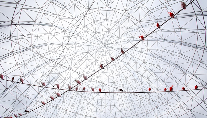 Wetlands/Aviary shpere at Oceanografic Valencia