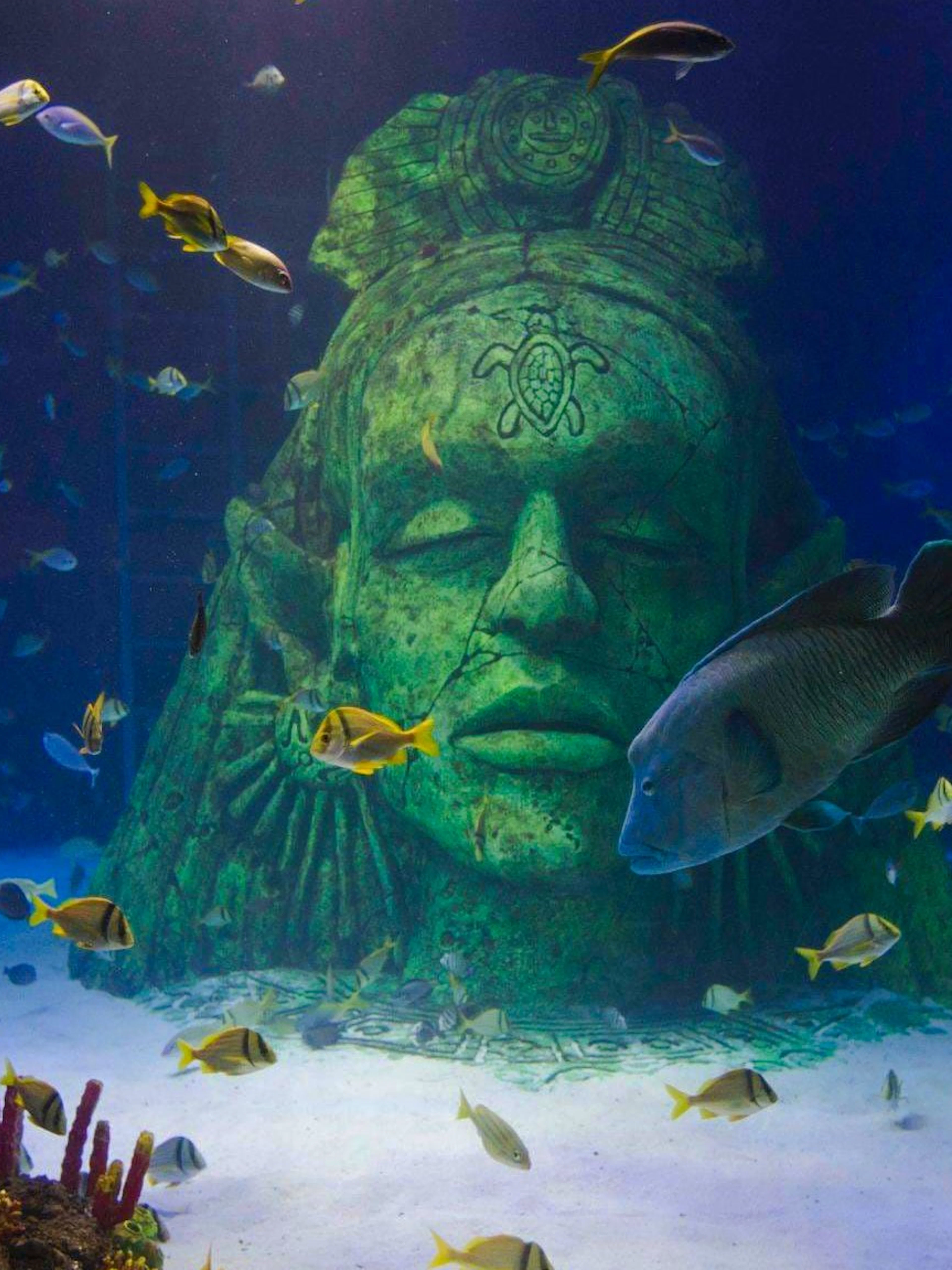 Underwater statue surrounded by fish at SEA Life Manchester.