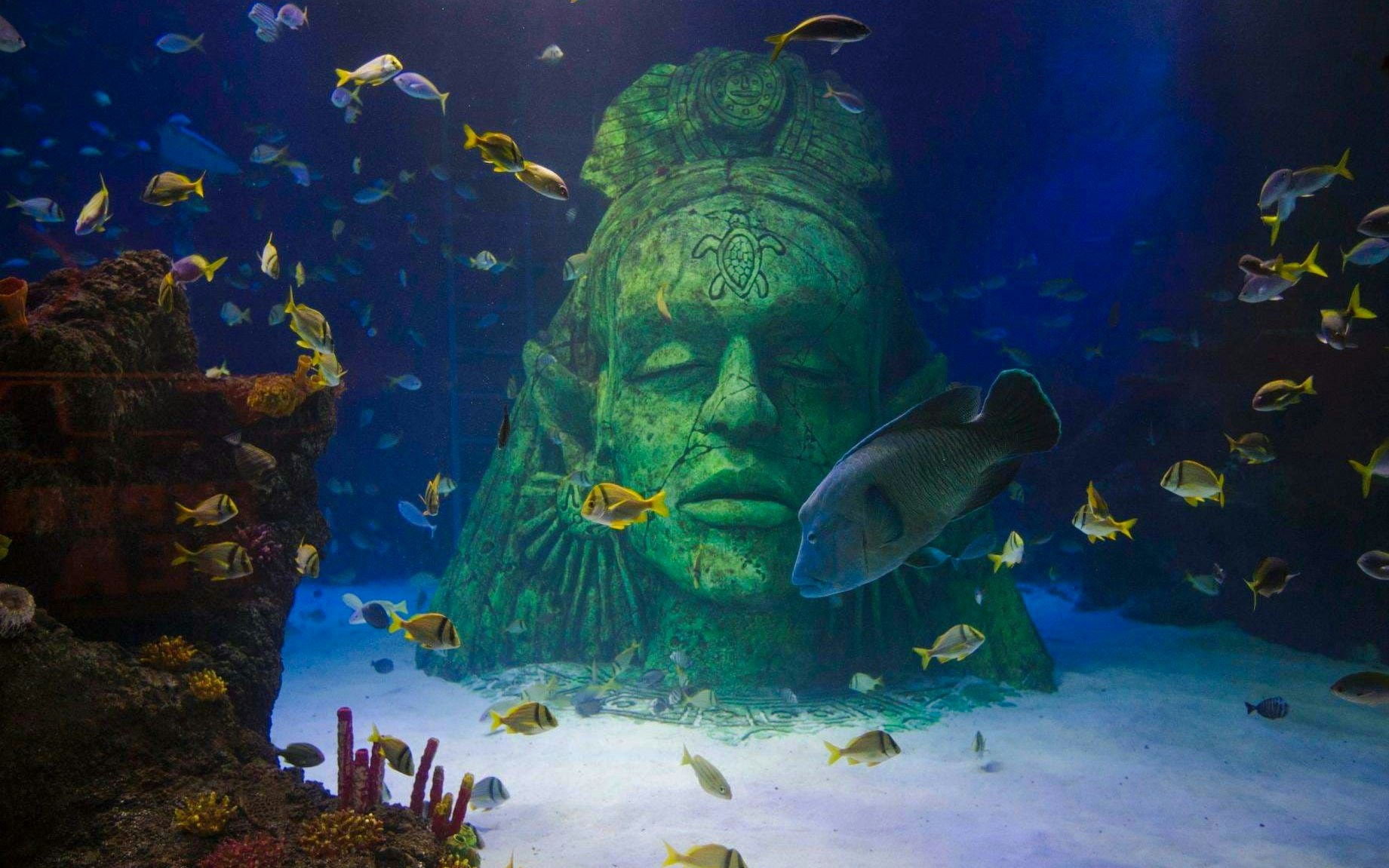 Underwater statue surrounded by fish at SEA Life Manchester.