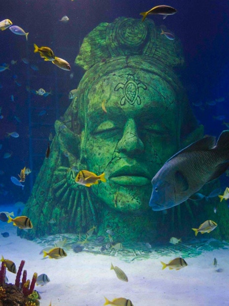 Underwater statue surrounded by fish at SEA Life Manchester.