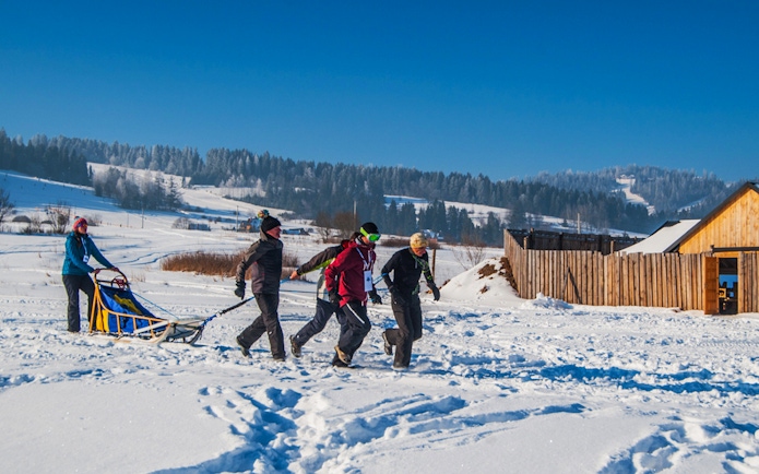 Dog sledding group in snowy Tatra Mountains near Krakow.