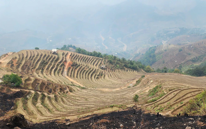 Mu Cang Chai rice terraces with misty hills, Vietnam trekking tour.