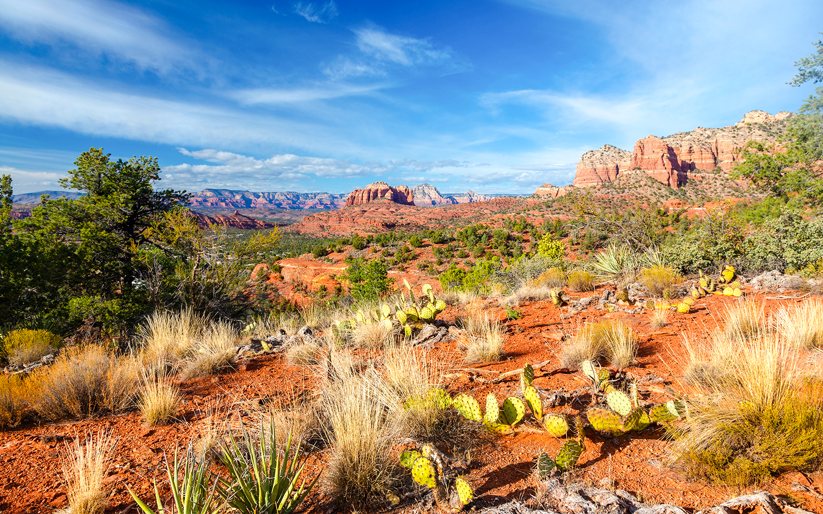 Hikers on Transept Hiking Trail with scenic views of Arizona's rugged landscape.