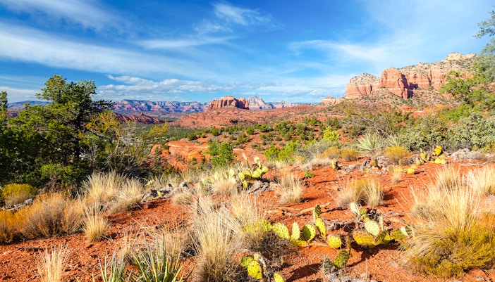 Hikers on Transept Hiking Trail with scenic views of Arizona's rugged landscape.