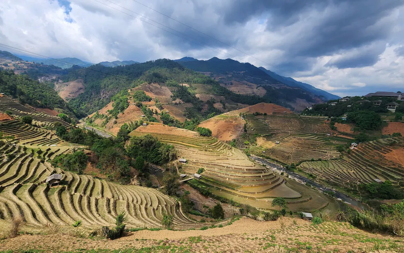 Terraced rice fields in Mu Cang Chai, Vietnam, viewed during a private car tour with a local guide.